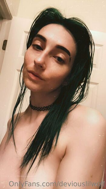 deviouslilwolf