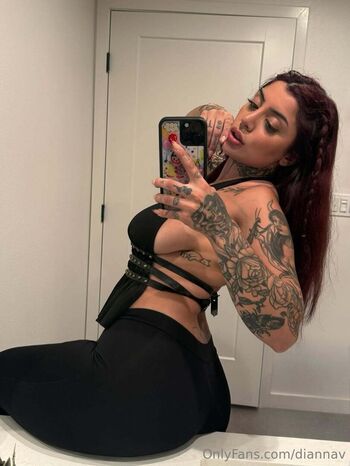 diannav