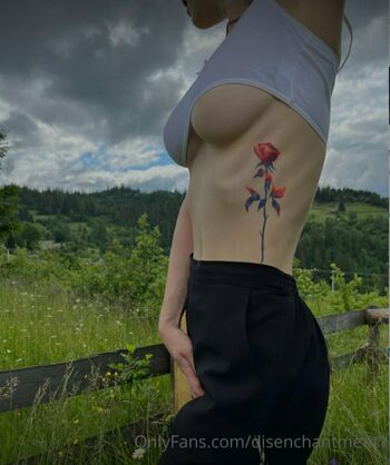 disenchantment