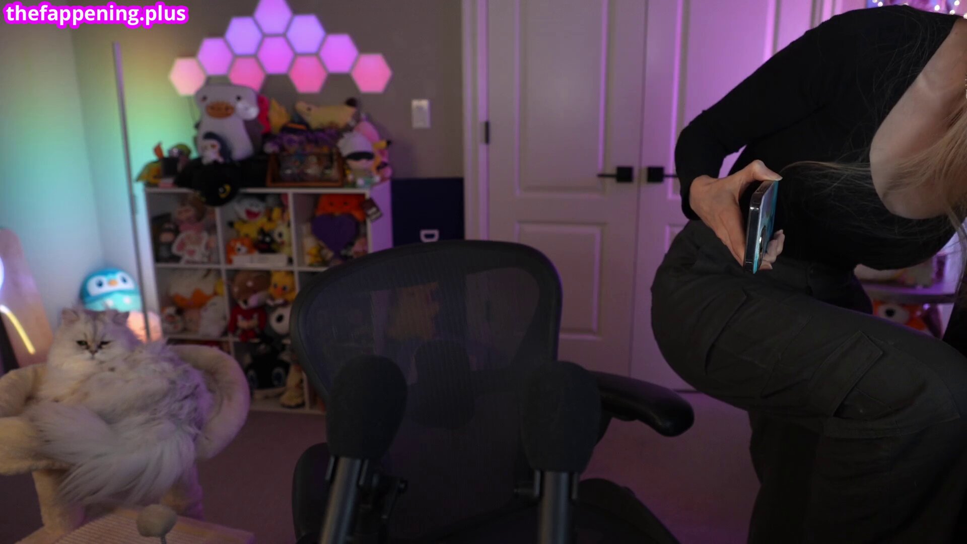 Dizzykitten