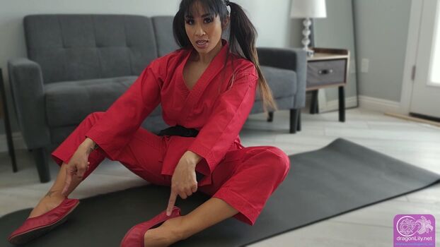 dragonlily_net