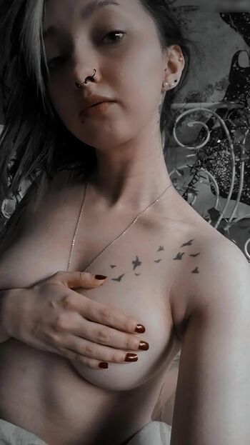 dreamstodust