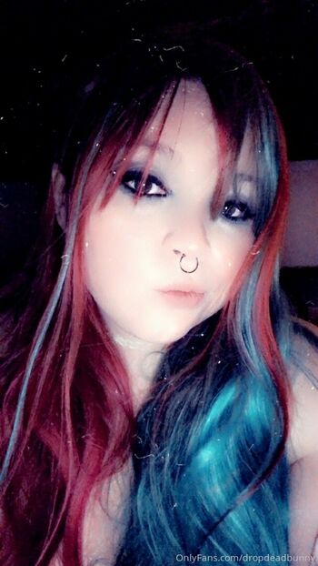 dropdeadbunny