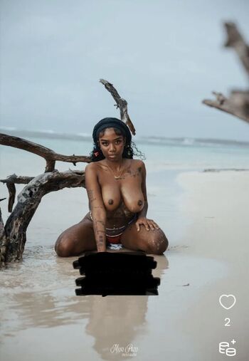 Ebonykrk