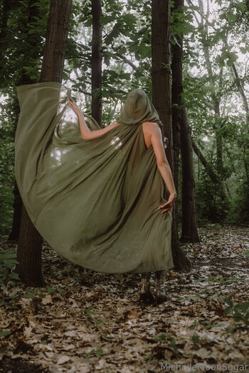 Ellie Land
