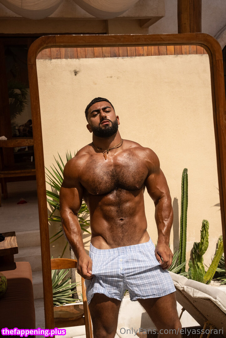 elyassorari