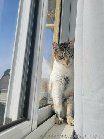 emma.jh