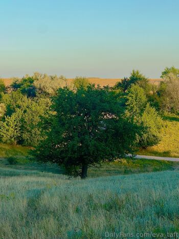 eva_taft