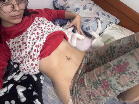 evee_meow