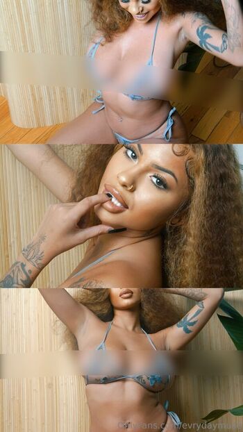 evrydaymuse