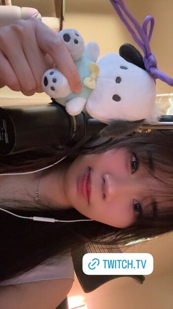 fairywink