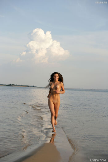 Femjoy