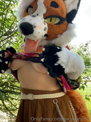 fox_anatomy