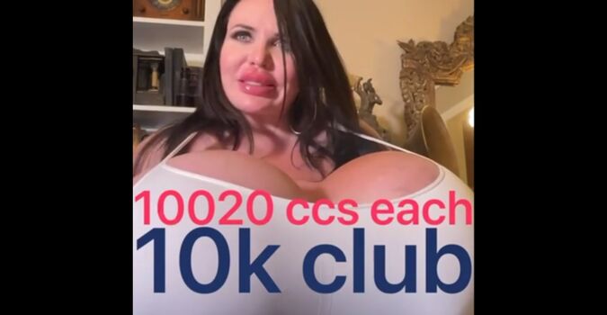 Foxy Menagerie Verre