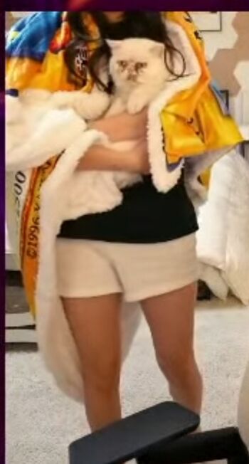 Fuslie
