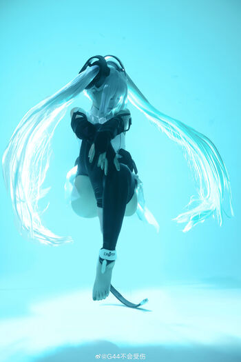 g44gallery