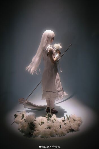 g44gallery