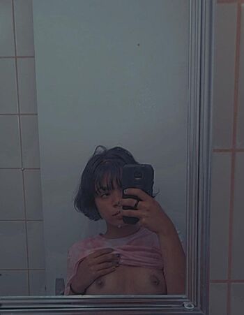 Gatas De Manaus