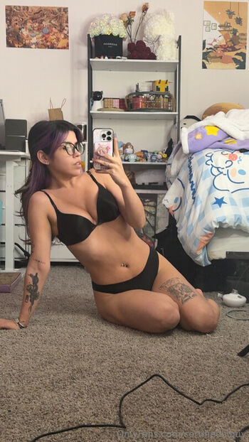 Geminisavy