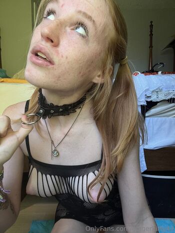 gingerkitty47