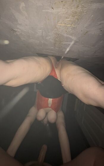 gingerplayswithlayla