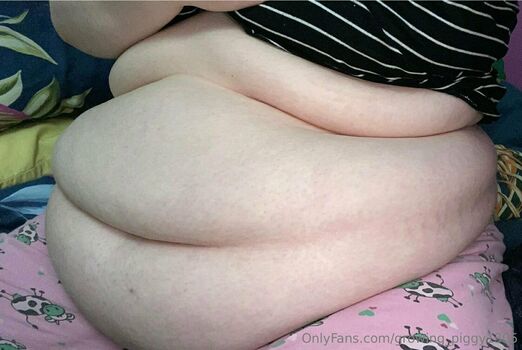 growing_piggy1305