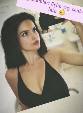 GymFoxFi