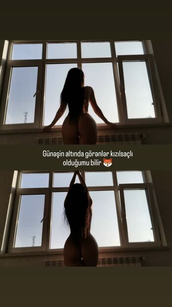 GymFoxFi
