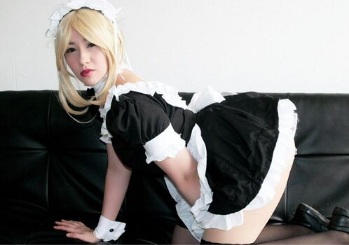 Hakicosmodel