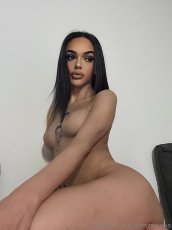 hamzaalexa