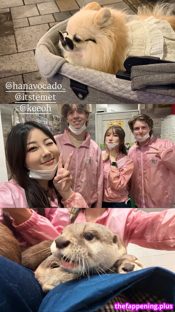Hanavocado