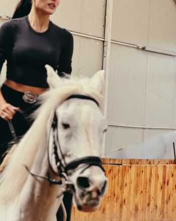 Hande Ercel