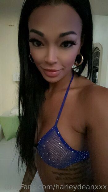 Harley Dean