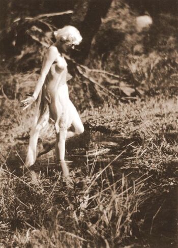 Harlow Blonde