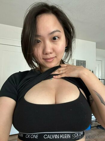 Harriet Sugarcookie