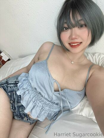 Harriet Sugarcookie