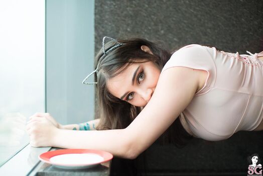 Haub Suicide