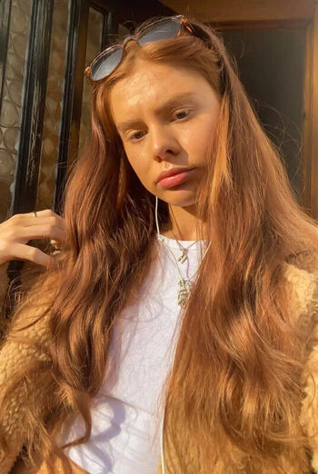 Hollieholls