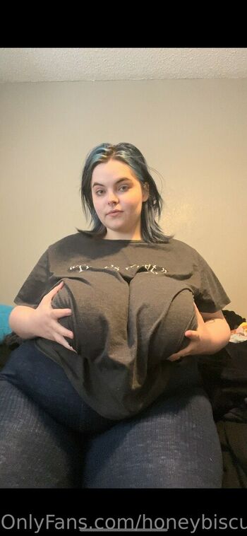 honeybiscuit20