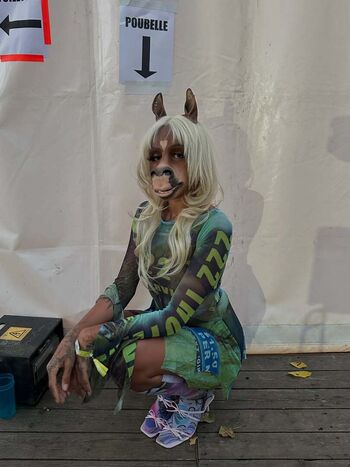 HorsegiirL