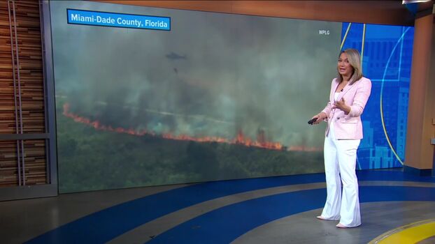 Hot News Weather Babes