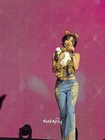 Hwasa