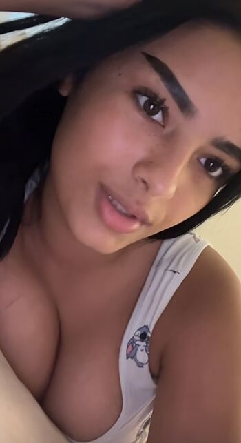 ibti.shelby