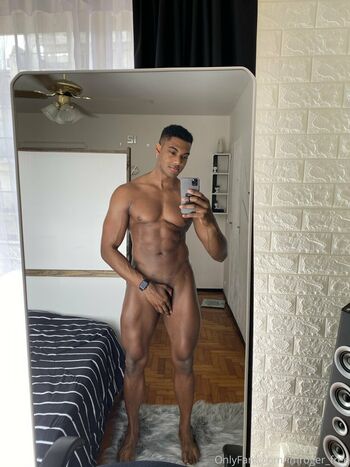 imroger_free