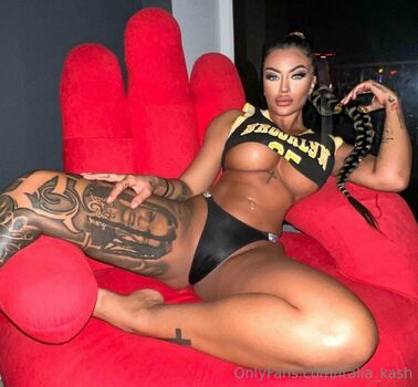 italia_kash
