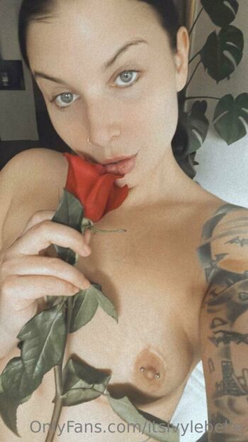 Ivy Lebelle