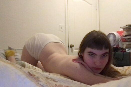Ivy Wolk