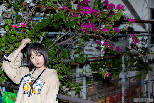 Jav Actress Gravure