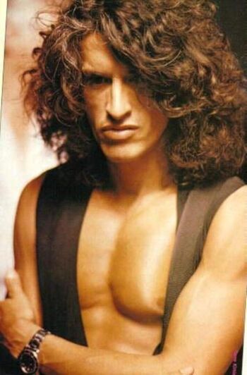 Joe Perry