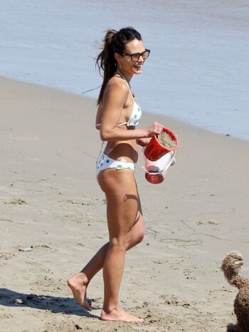 Jordana Brewster